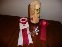 1st place in the Woodturning class and best of show for all Woodworking entries/classes.