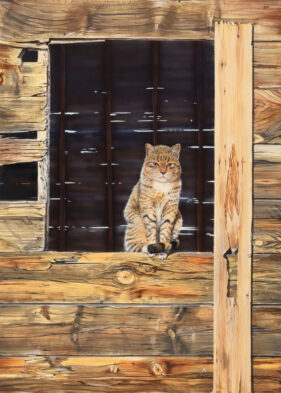 Barn Patrol